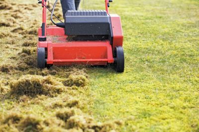 Lawn Dethatching