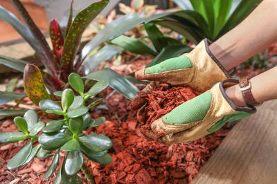 Cypress Mulch Installation - Mulch Flowery Branch, Georgia
