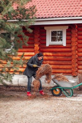 Pine Needle Clean Up - Pine Needle Removal Neodesha, Kansas