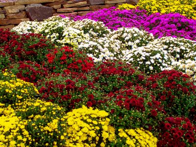 Spring Planting - Planting Crook County, Oregon
