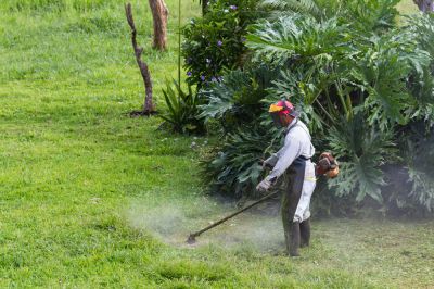 Grass Trimming - Weed Wacking Round Lake, Illinois