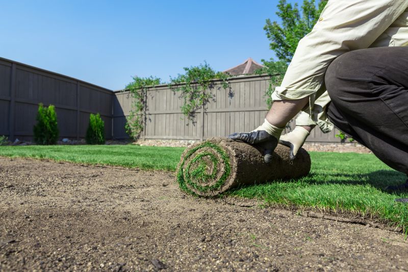 Lawn Border Installation