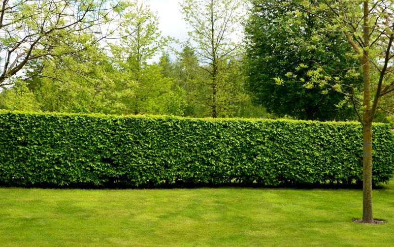 Hedge Installation