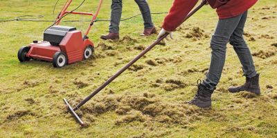 Lawn Raking - Dethatching Weyauwega, Wisconsin