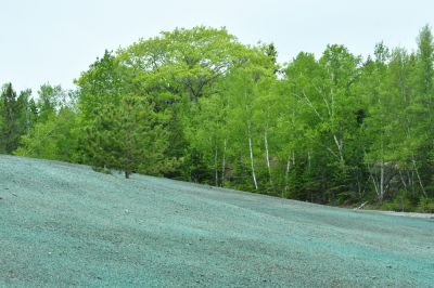 Liquid Grass Installation - Hydroseeding Wagram, North Carolina