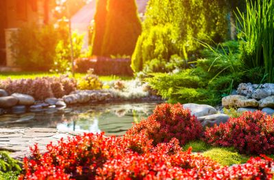 Pond Landscaping - Landscaping Millis, Massachusetts