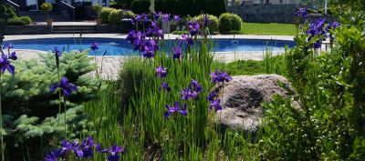 Pool Landscaping - Landscaping Millis, Massachusetts