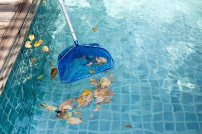Pool Leaf Removal Services - Leaf Removal Buhler, Kansas
