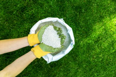 Spring Lawn Fertilizing - Spring Lawn Services Ouray County, Colorado
