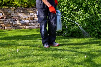 Weed Control - Weed Control Pittsburgh, Pennsylvania